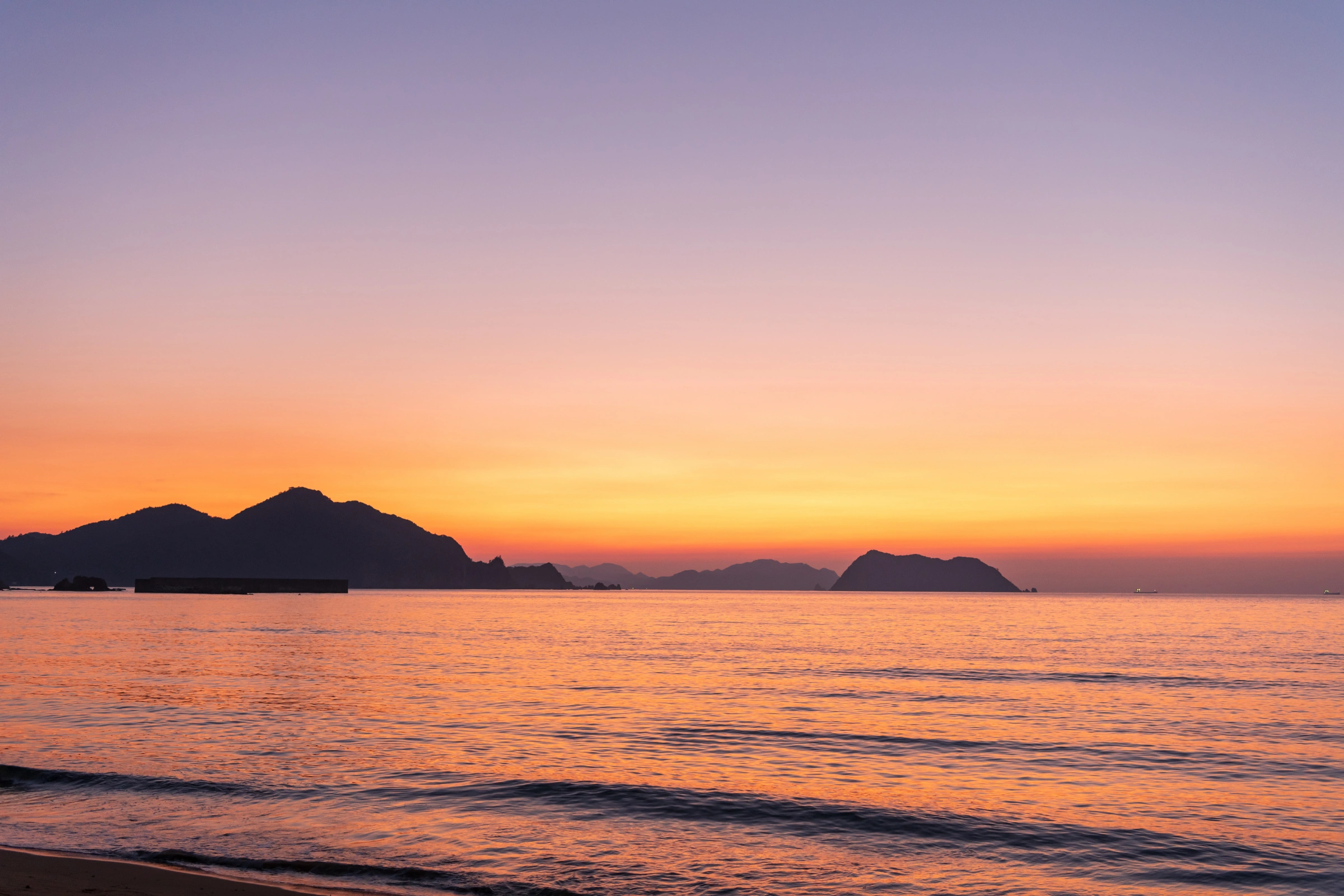 Hagi[1].webp